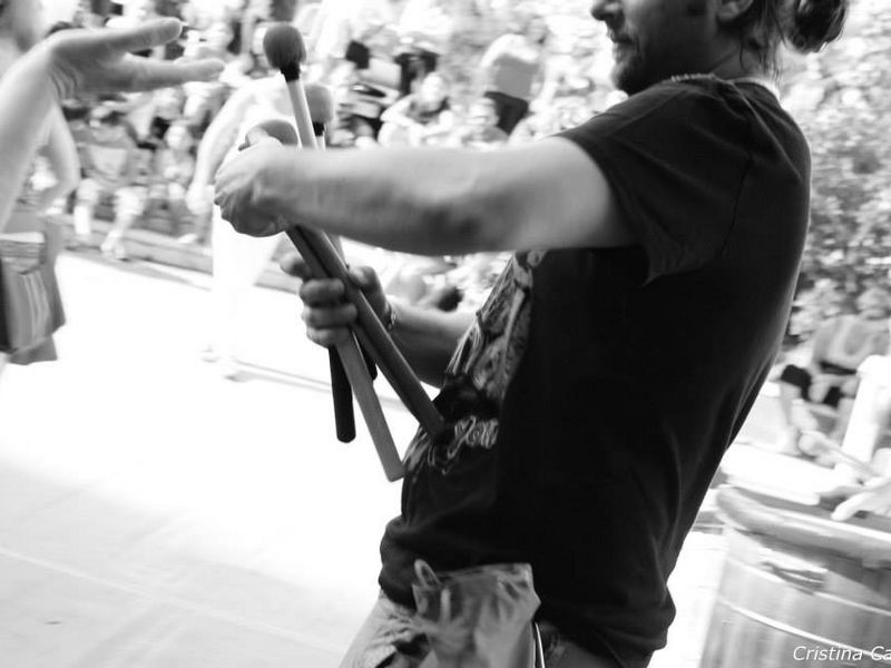 Saggio 2013