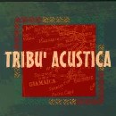 Tribù Acustica